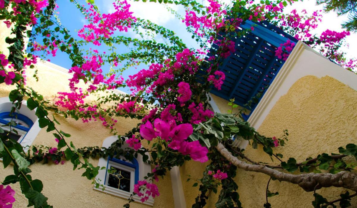 Hotel Zeus Kamári Extérieur photo