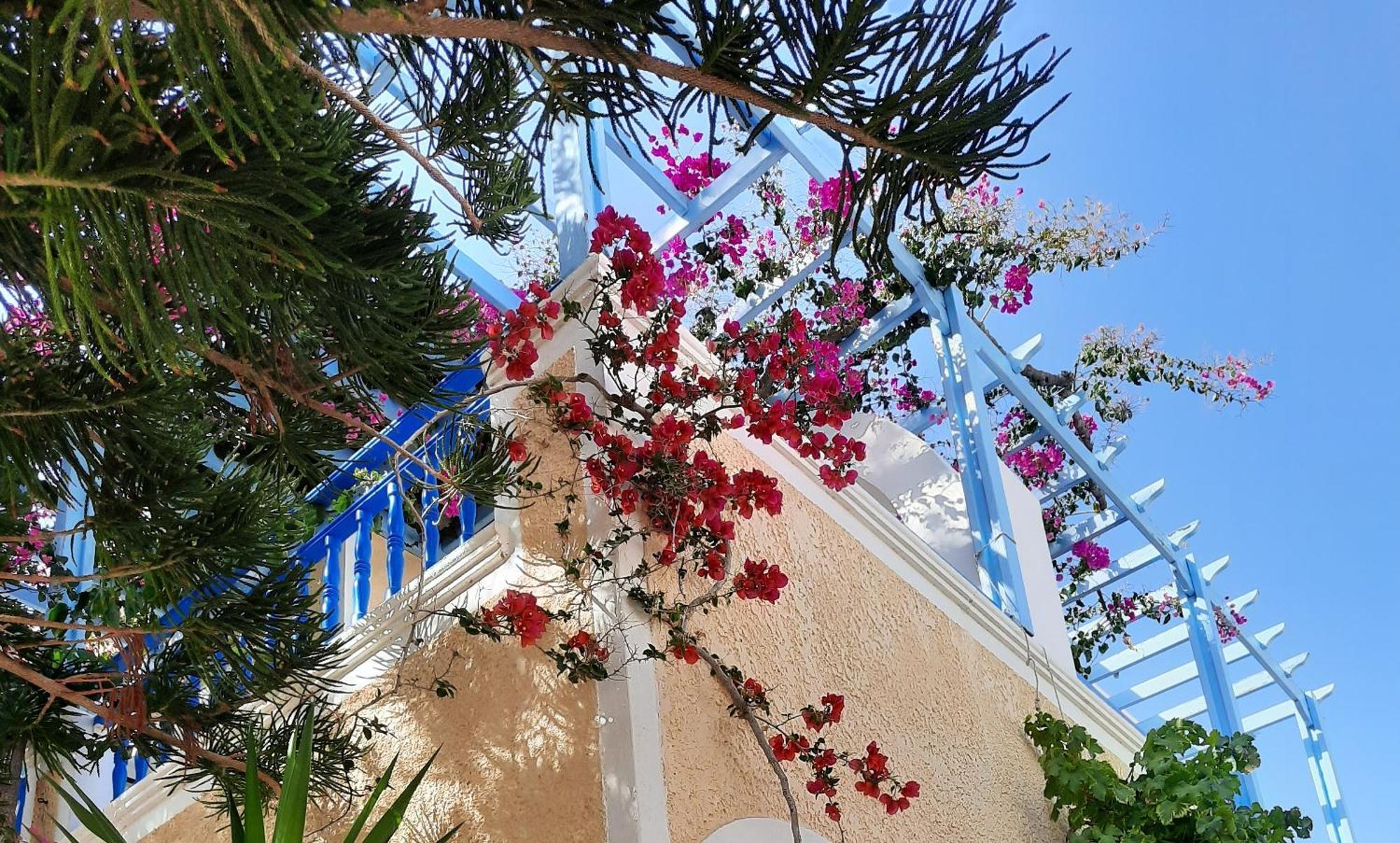 Hotel Zeus Kamári Extérieur photo